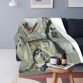 חם האסקי גזעי שמיכות אנטי פילינג קטיפה בחורף כלב חמוד תכליתי סופר רך לזרוק את השמיכה על הספה הספה השמיכה